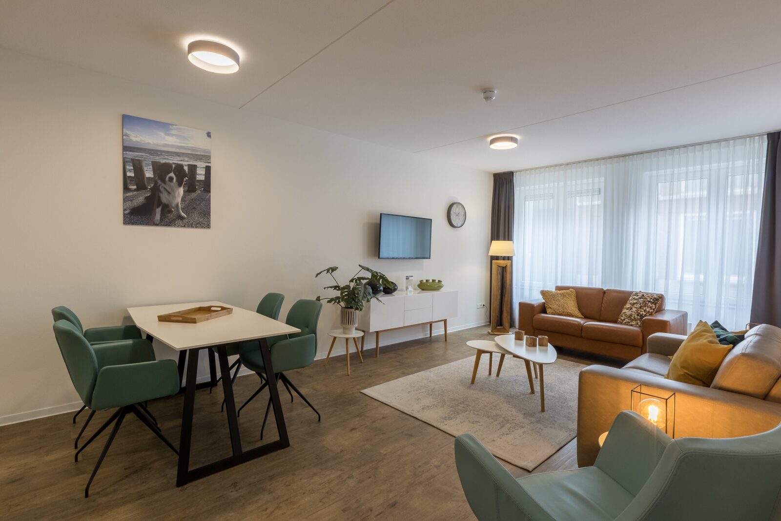 Appartement Luxury 4 pers apartment (pet allowed) | Zoutelande 1